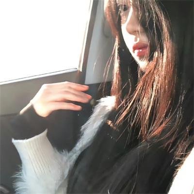 方案